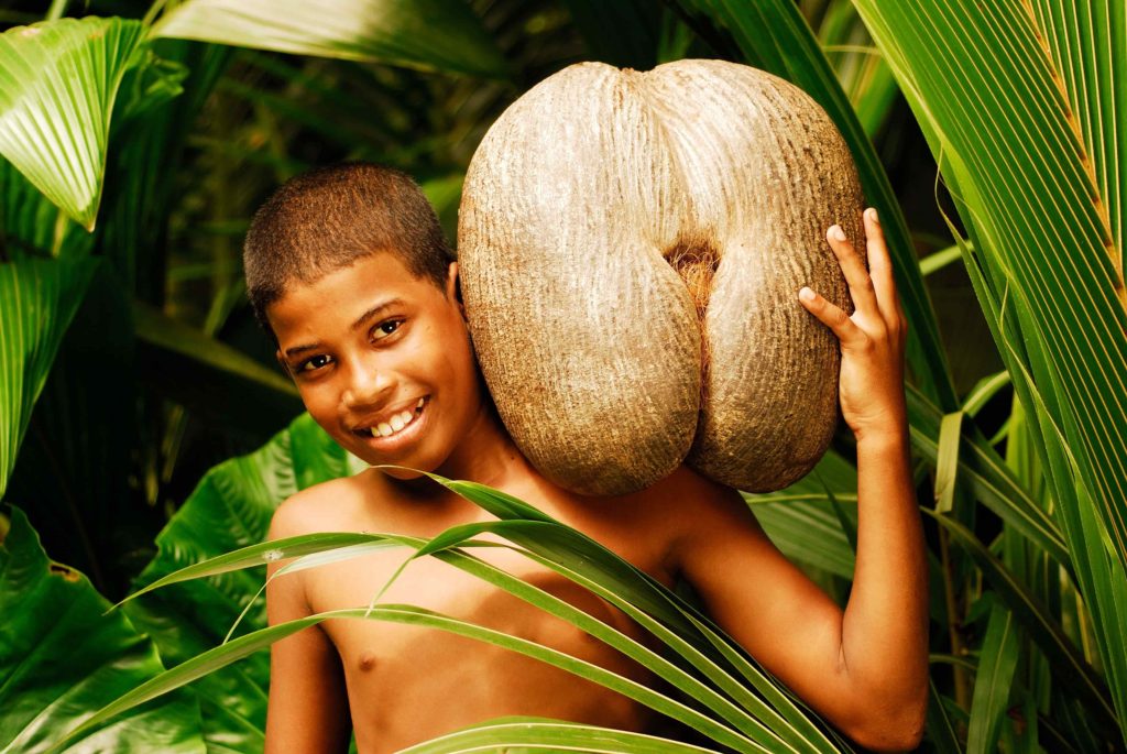 seychelles boy holding coco de mer