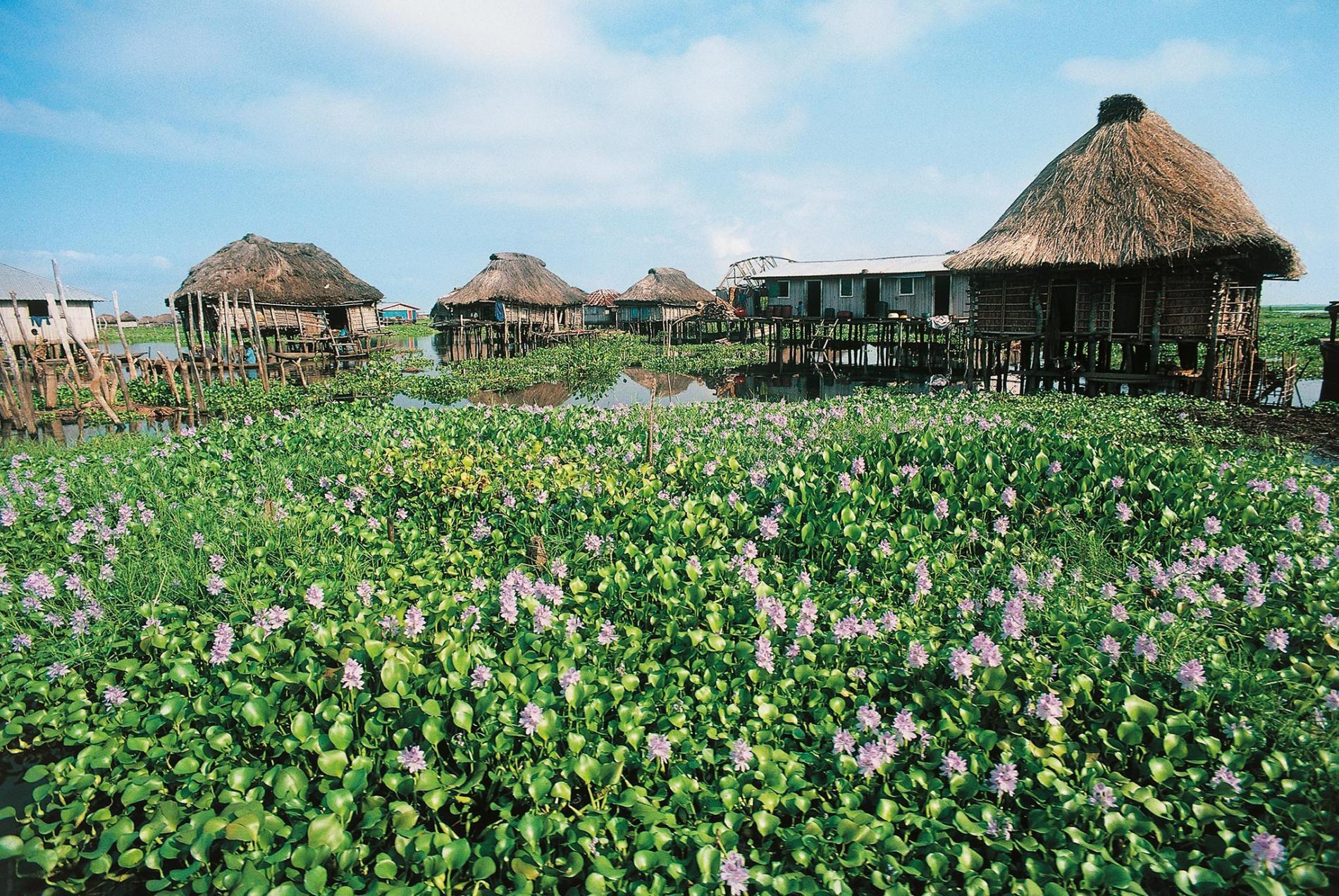 benin lake nakoue